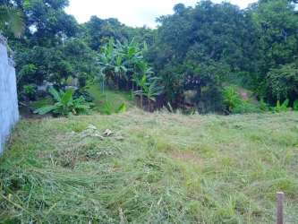 Flat cleared lot adjacent tropical vegetation and partial wall El Arenal beach zone for sale Panama