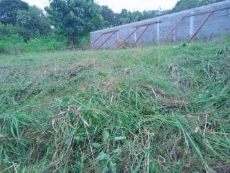 Vacant grassy plot surrounded by partial concrete perimeter wall at El Arenal San Carlos