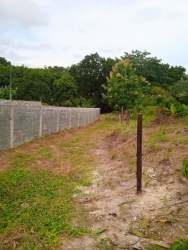 Vacant grassy lot with chain-link fence posts, dirt path, and background greenery in El Arenal