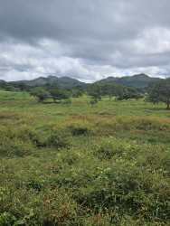 Grassy fields with panoramic mountain views ideal for housing project near Panama City