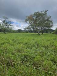 Aerial photo of vast flat green fields with highway access near downtown Capira