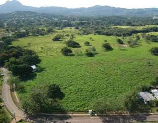Open rural landscape with rolling hills and scattered trees perfect for projects or eco developments