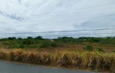 Flat roadside vacant lot in Penonomé with power lines great for commercial development