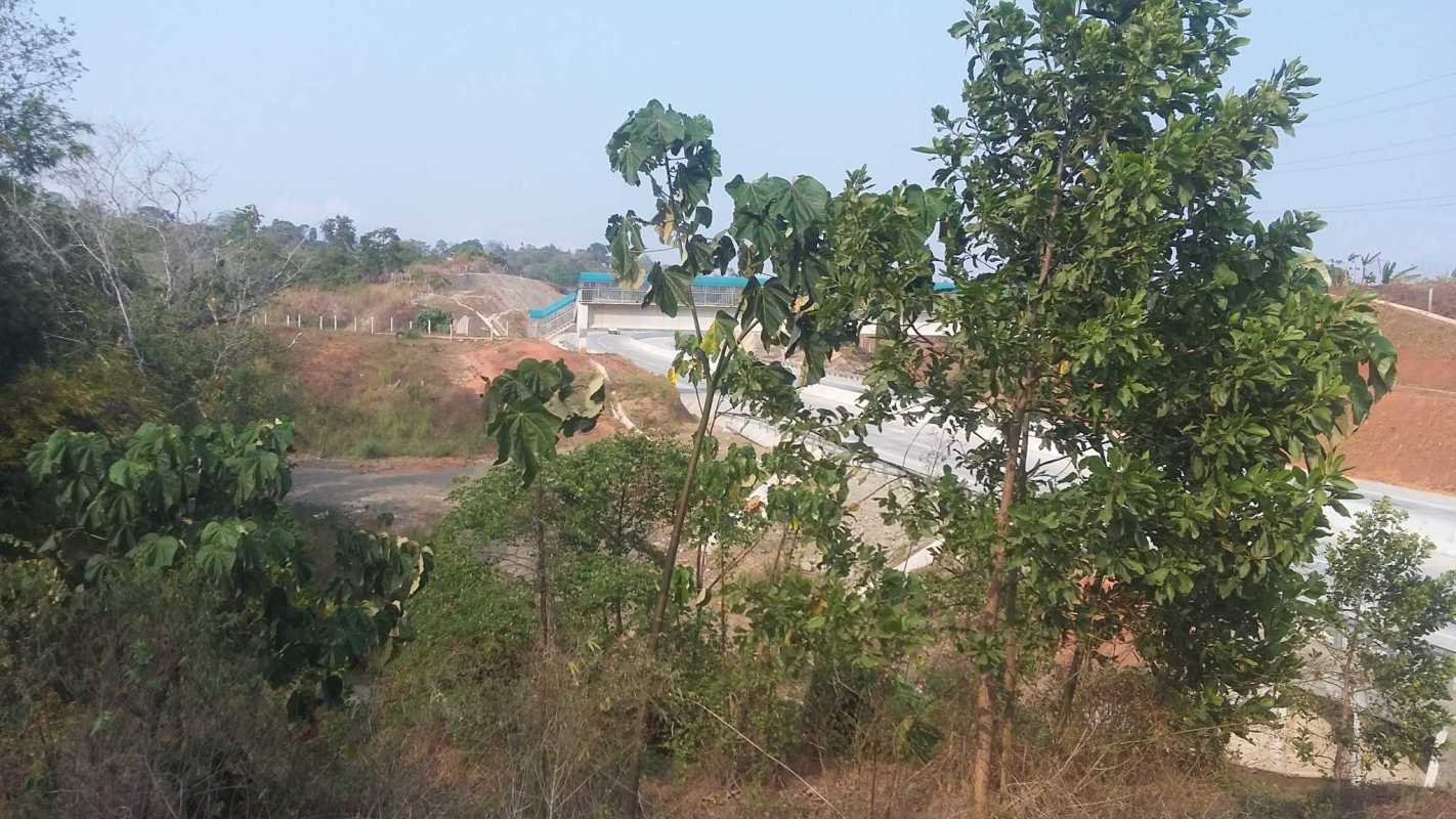 Open land plot with scattered trees and dirt access road near Mañanitas, Corridor Norte Panama