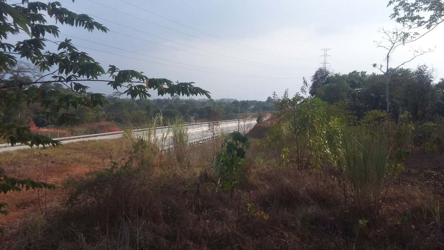 Developable land with lush vegetation beside highway Mañanitas Panama City