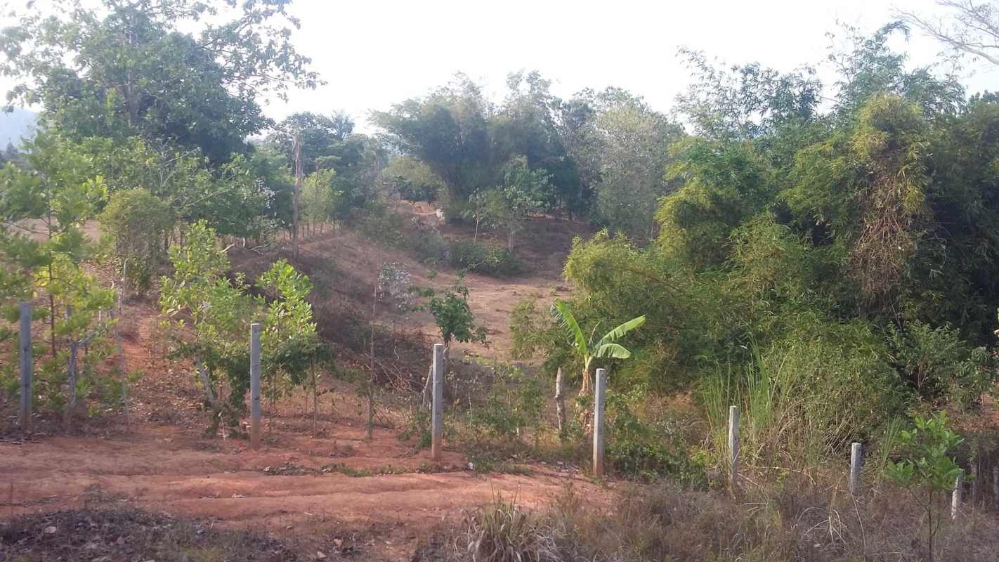 Fenced rural land with natural slopes and bushes near Las Mañanitas Panama