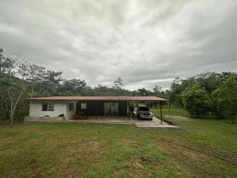 Wide open green land with natural trees in Coclé Panama