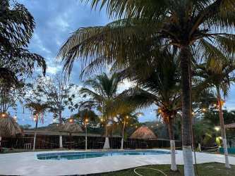 Pool with palapas and palm trees in tropical beachfront setting Playa Toro Pedasi