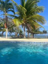 Beachside pool with palm trees and horizon ocean view at Playa Toro Pedasi Panama