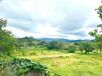 View of lush green garden, distant Volcán Barú mountain and sky from property for sale in Volcán Panama