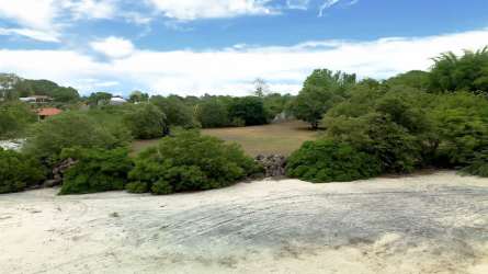 Wide grass area with coastal views and trees by the beach Punta Roca Panama