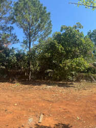 Large land plot with trees and dirt surface ideal for building in Herrera province Panama
