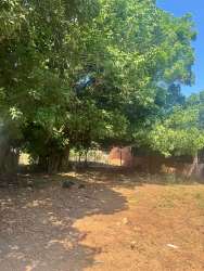 Spacious residential land with tree coverage near amenities in La Arena district Chitré