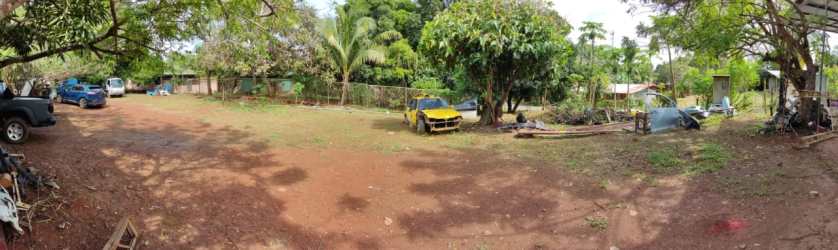 Level lot with mature trees suitable for construction in Chitré Panama