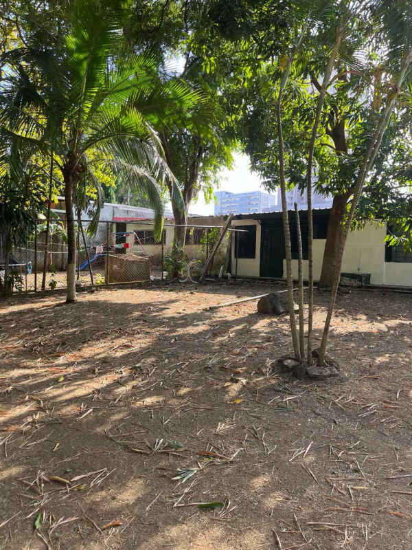 Spacious dirt yard with trees and fenced border in commercial residential house Panama