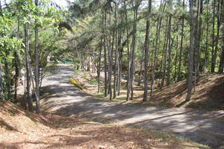 Land Plot for Sale in Cerro Azul - 0 bedrooms