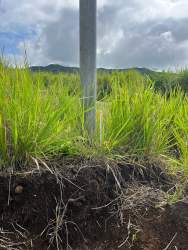 Mountain landscape behind vacant grass plot ideal for building home Boquete Panama