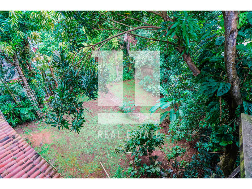 Expansive backyard filled with lush mature trees and dense greenery La Cresta Panama