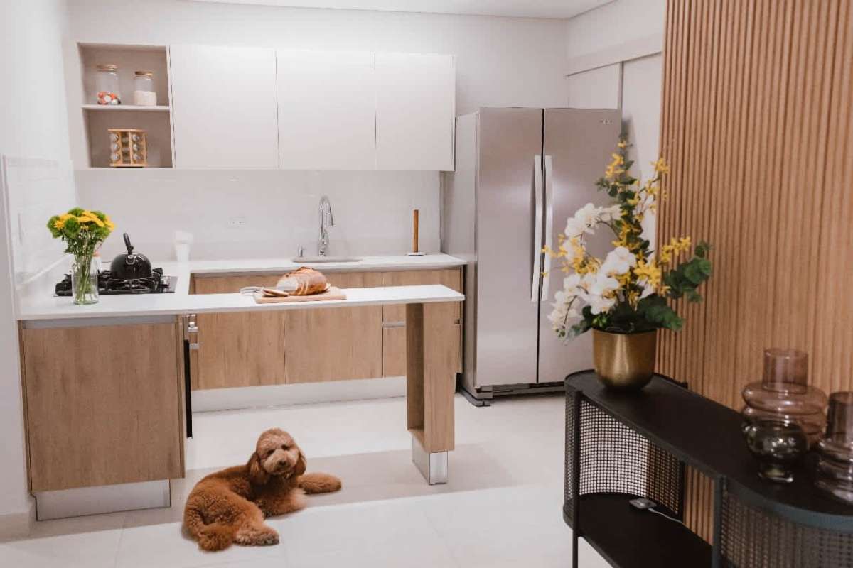 Dining and living room with wood accent wall and natural lighting PH Mi Condado Condado del Rey Panama