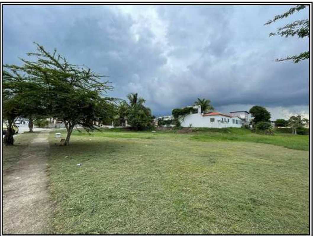 Vacant neighborhood lot next to concrete road and sidewalk in El Crisol Panama City