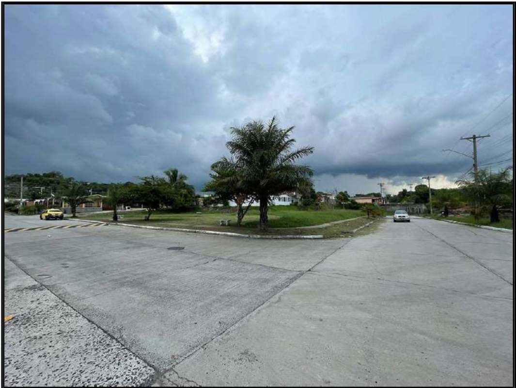 Urban residential intersection showing green lot, palm trees, and nearby homes in El Crisol