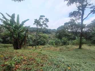Forested tropical land plot with mountain backdrop Palmira Abajo Boquete Chiriquí Panama