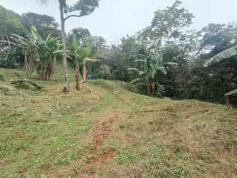 Large Tropical Land for Sale Palmira Abajo Boquete