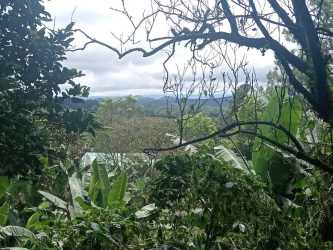 Tropical land plot with mountain background natural vegetation in Palmira Boquete