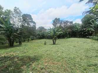 Lush open grassy lot surrounded by tropical forest mountains Palmira Abajo Boquete for sale