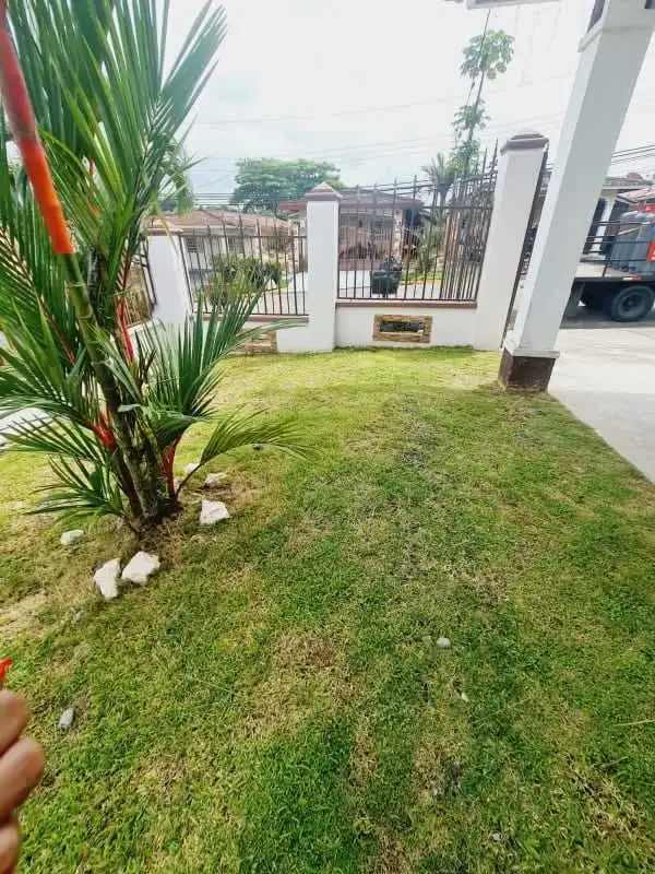 Private backyard garden with potted plants and fencing in house Villa Zaita