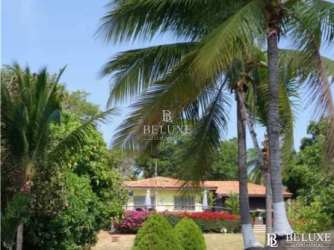 Mediterranean villa with tile roof surrounded by palm trees in El Higo Panama