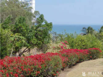 Green tropical garden with ocean view and flowering bushes El Higo Panama