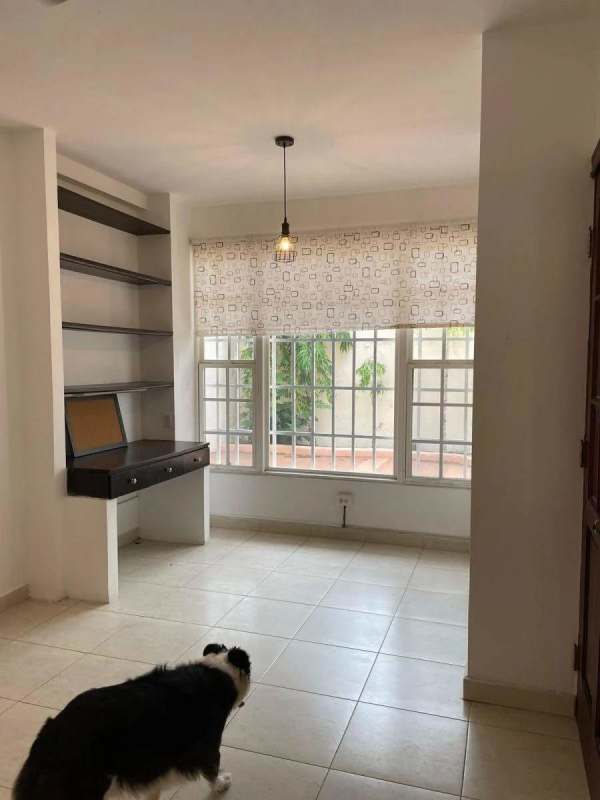 Spacious tiled patio and tropical garden with privacy wall Villa Valencia Costa Sur Panama