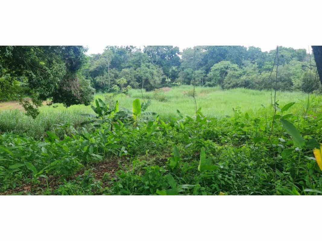 Natural greenery with open fields on land for sale in Pacora near transportation routes