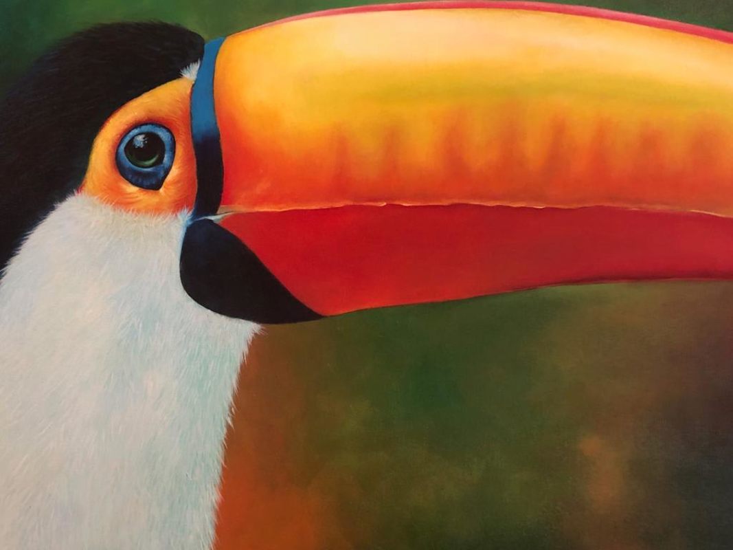 Colorful toucan-themed wall decor in common dining area Dorado Super Center El Dorado Panama City