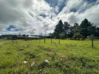 Land for Sale in Tierras Altas - 0 bedrooms