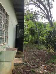 Lush landscape with mature trees surrounding Altos de Capira property Panama