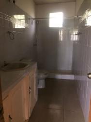 Lush greenery and small bridge in natural countryside at Altos de Capira Panama