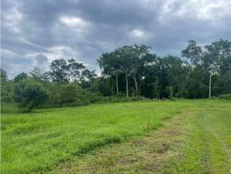 Expansive grassy farmland area with wooded backdrop Penonomé