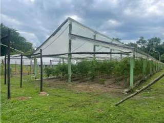 Farm Land for Sale in Pajonal - 0 bedrooms