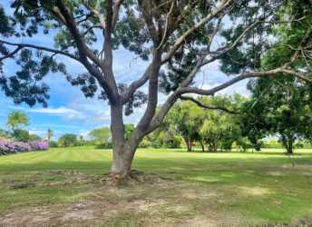 Large residential land plot surrounded by mature trees and green areas in Buenaventura Panama