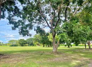 Land Lot for Sale in Antón - 0 bedrooms