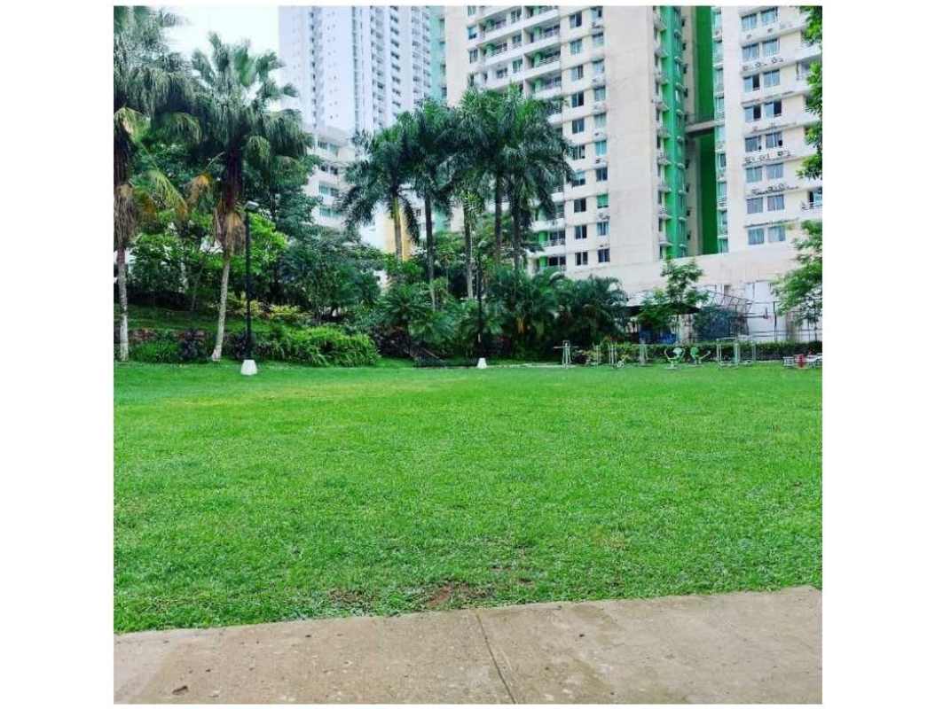 Lush garden and lawn area with palm trees in front of PH Green Park condominium towers in Panama City