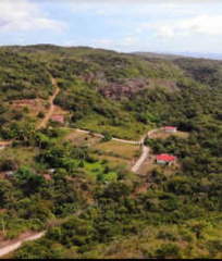 Land / Lot for Sale in El Coco - 0 bedrooms
