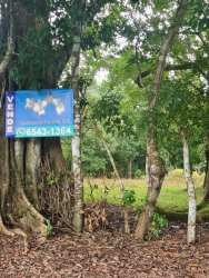 14 Hectares Urbanizable Land Near Basilica in Atalaya