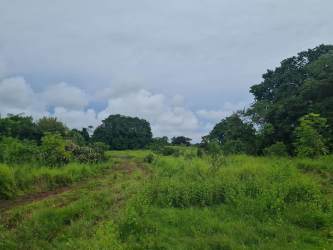 View of 14 hectare land with greenery near Basilica Menor Atalaya for real estate development