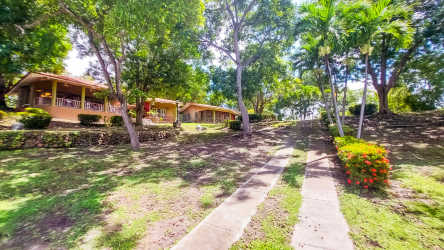 Beautiful circular landscaped garden with mature trees at Coronado beach property Panama