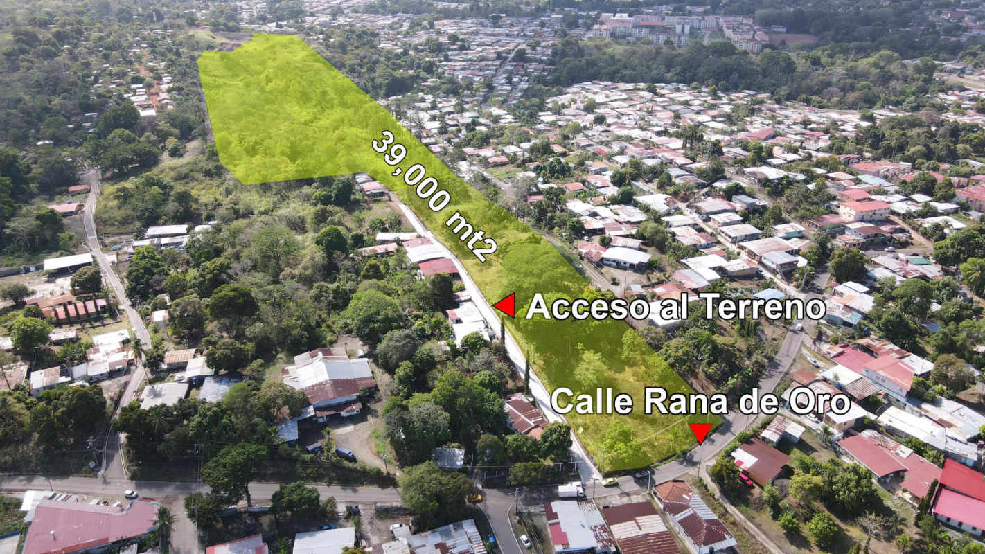 Satellite map labeled showing 39,000 m² land in Rana de Oro Pedregal near major highways and developed neighborhoods Panama City.