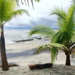 Bright open plan living dining space with large windows and ocean views at Playa Corona condo Panama