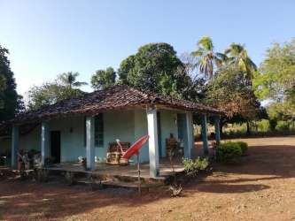 Countryside home with tile roof veranda fruit garden for sale in Panama